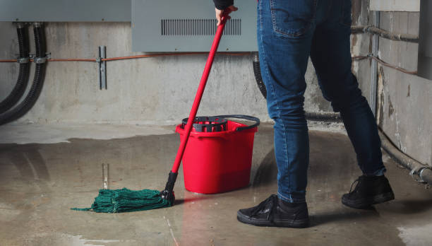 Best Flood damage cleanup  in Bolivar, OH