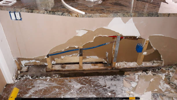 Best Water damage contractors near me  in Bolivar, OH