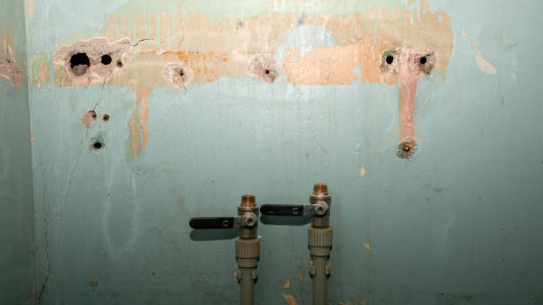Best Water damage cleanup near me  in Bolivar, OH