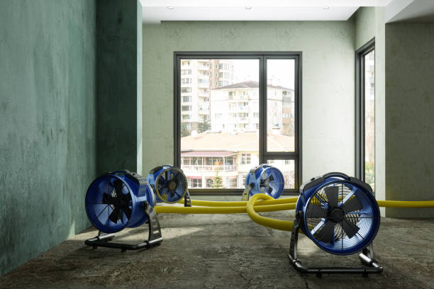 Best Water damage restoration mold remediation  in Bolivar, OH